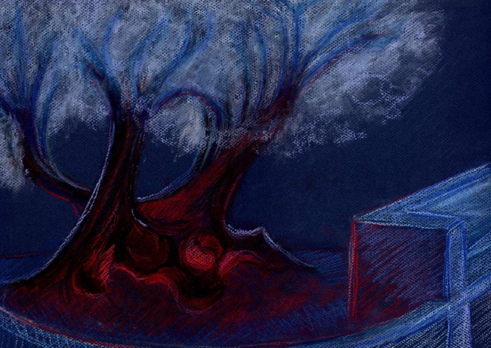 « Bellas Sombras »