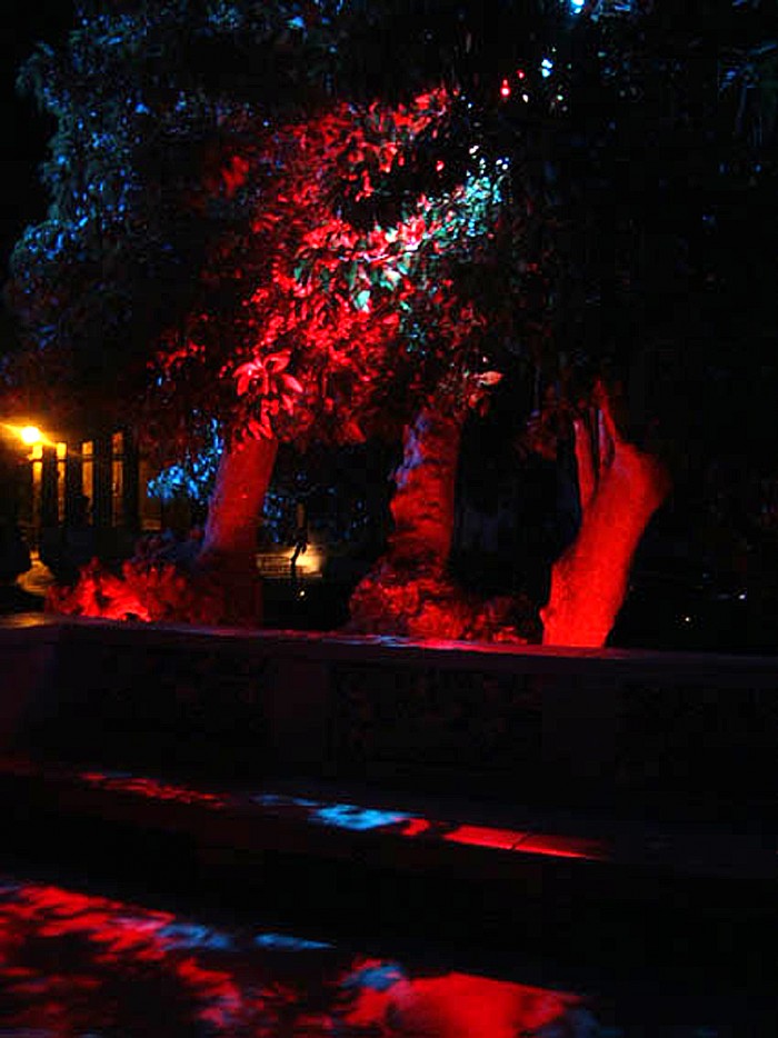 « Bellas Sombras »