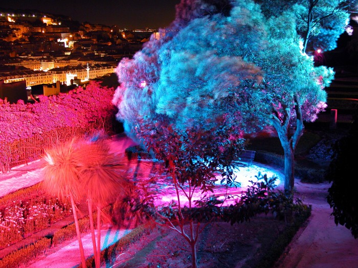 « Bellas Sombras »