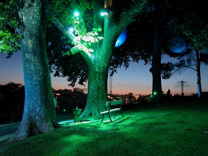 « Bellas Sombras »